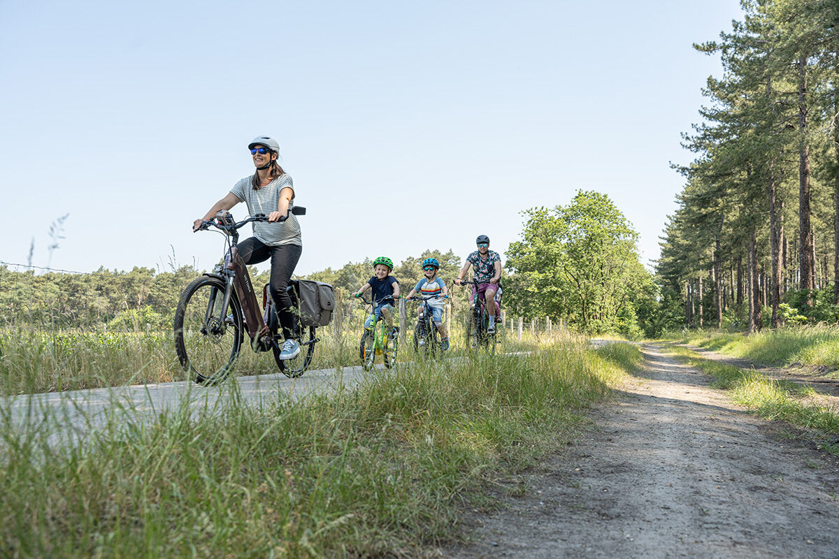 sattelsttze mit dmpfer ComfortSet Pro  Fahrradsattel & Sattelsttze mit Federung