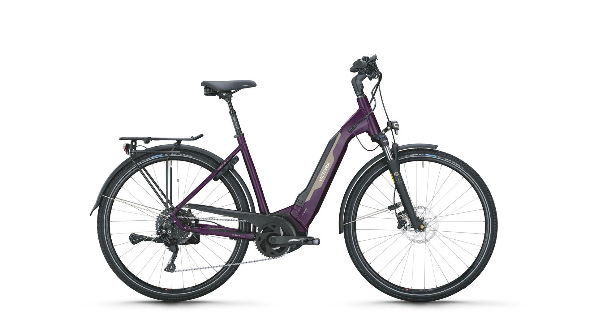 butterfly purple