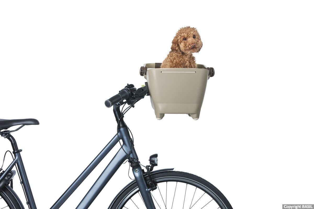 Hund mit dem E-Bike mitnehmen: Was Sie bei einem Anhänger beachten sollten  - EFAHRER.com