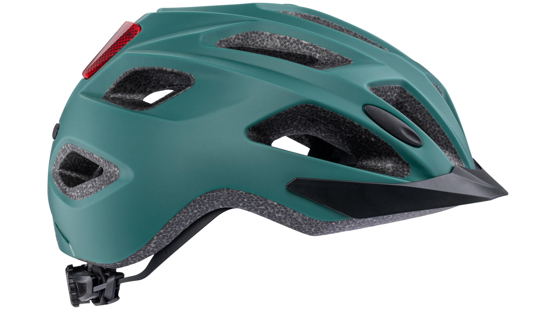 deep forest green / velvet black