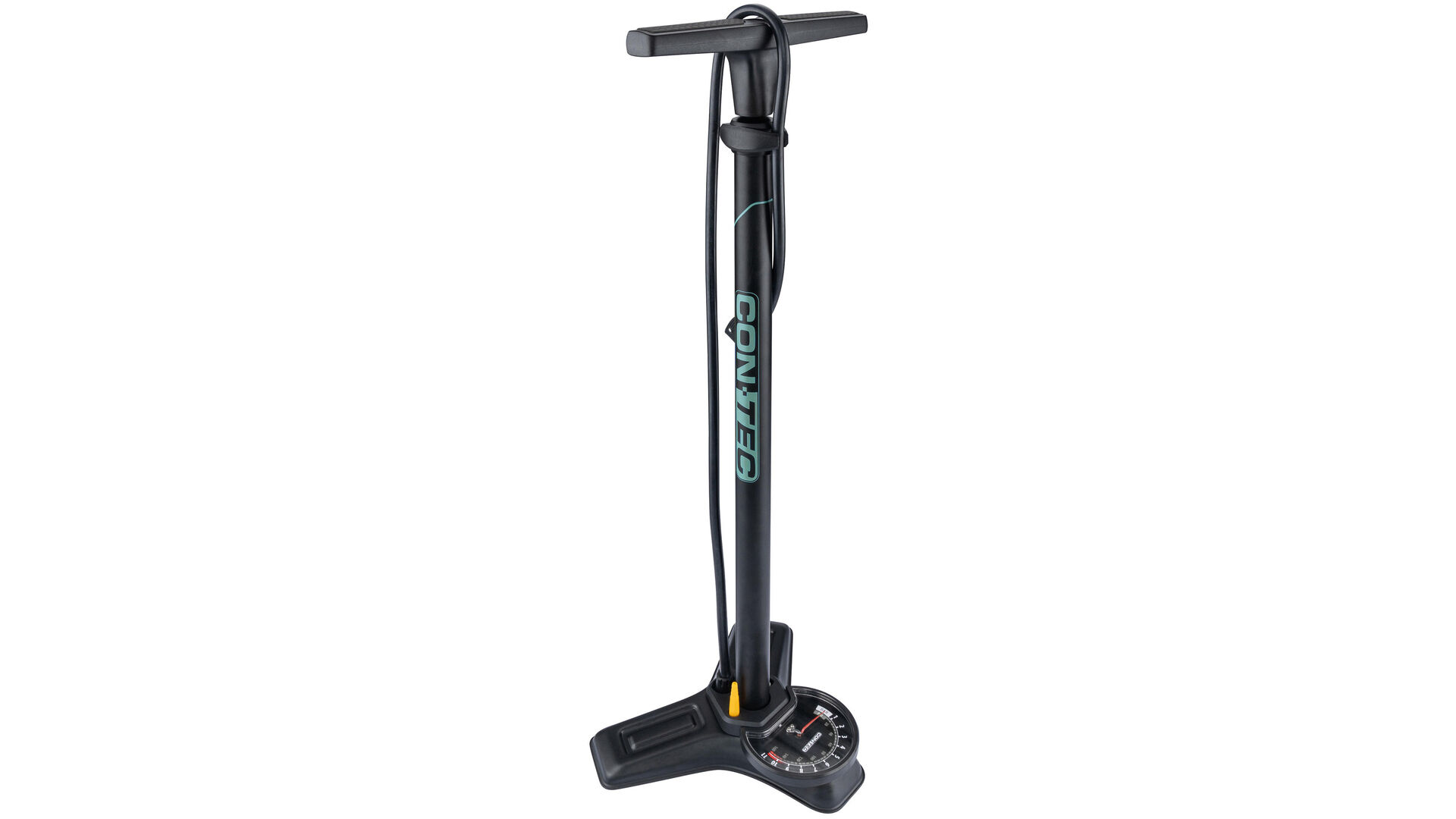 schwarz / sage green