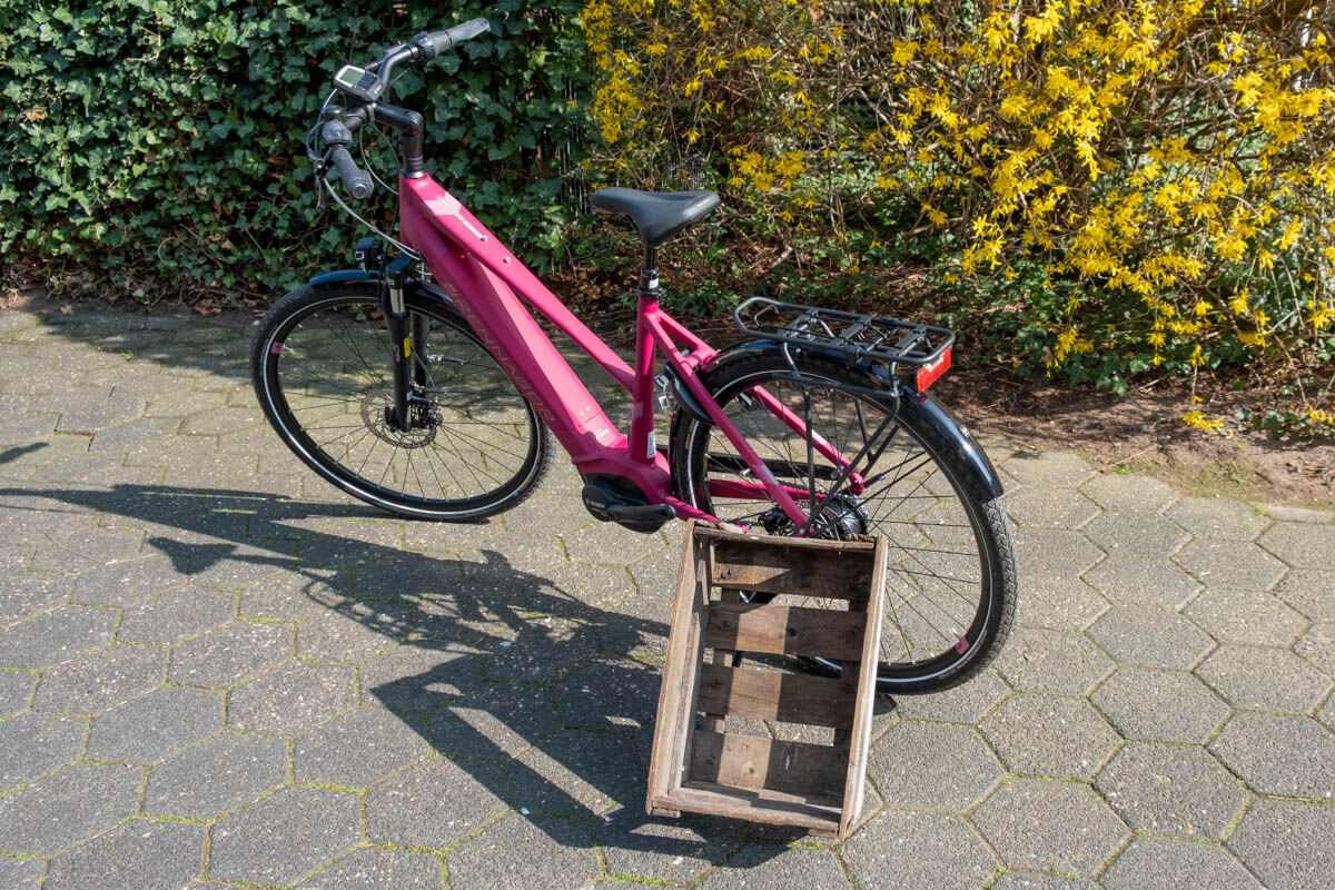 Racktime Spanngurt Bindit Adjustable für Gepäckträger, Fahrradtaschen,  Körbe, 3-facher Gummi, Länge verstellbar für Fahrrad und E-Bike